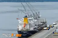เรือบรรทุกสินค้าทั่วไป (Bulk Carrier) สำหรับขาย