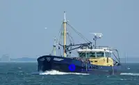 เรือลากอวนแบบ Beam Trawler สำหรับขาย