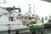 Longliner สำหรับขาย
