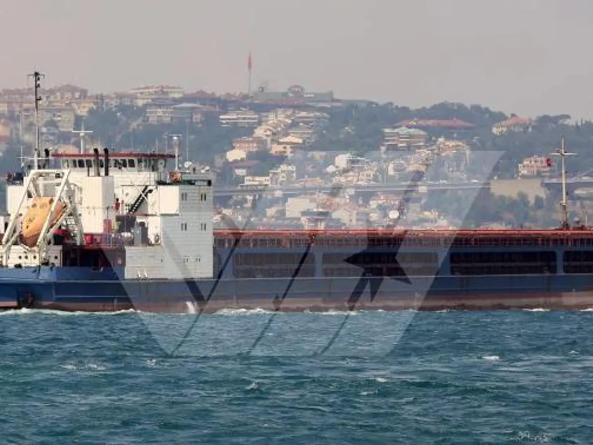 General Cargo/Multi-purpose สำหรับขาย