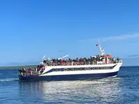 เรือโดยสาร สำหรับขาย