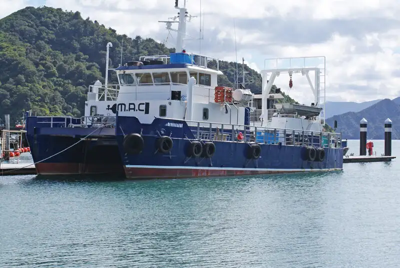 เรือสำราญ สำหรับขาย