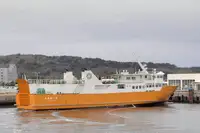 เรือบรรทุกสินค้าแบบ Ro-Ro สำหรับขาย