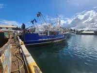 เรือลากอวน สำหรับขาย