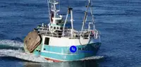 Beam trawler สำหรับขาย
