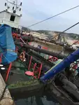 เรือขุด สำหรับขาย