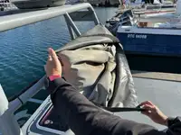 เรือลาดตระเวน สำหรับขาย
