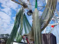 เรือลากอวน สำหรับขาย