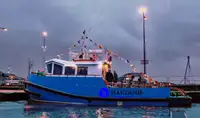 เรือลากจูง สำหรับขาย