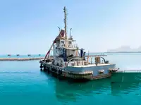 เรือทำงาน สำหรับขาย