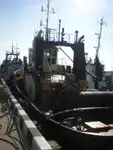 เรือลาก สำหรับขาย