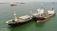 เรือบรรทุกสินค้าทั่วไป (Bulk Carrier) สำหรับขาย