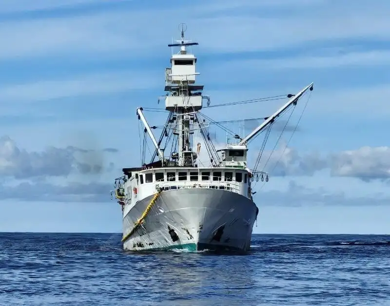 seiner สำหรับขาย