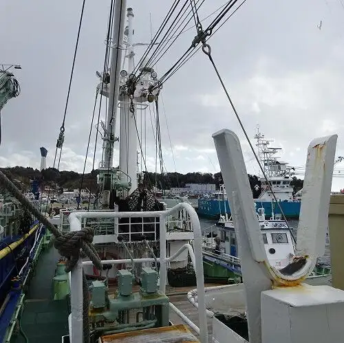 seiner สำหรับขาย