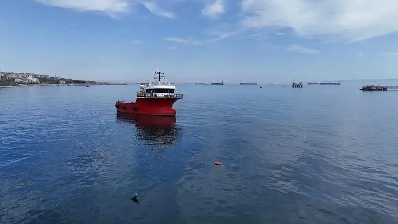 เรือทำงาน สำหรับขาย