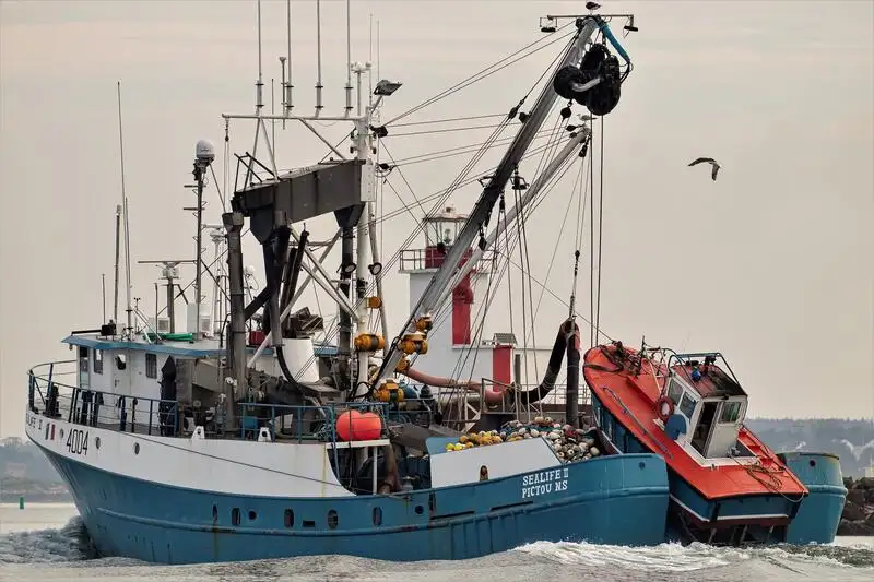 seiner สำหรับขาย