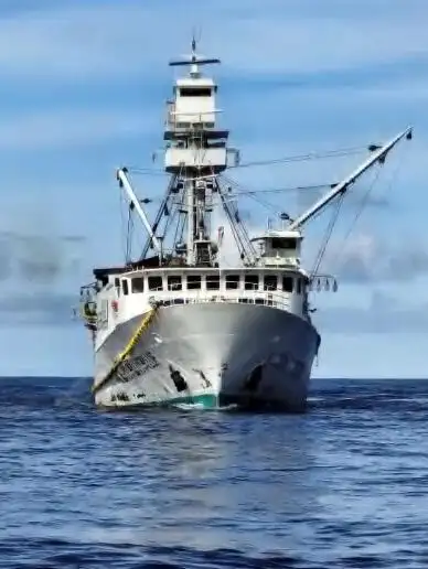 seiner สำหรับขาย