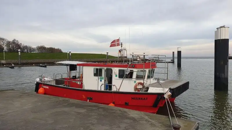 เรือใบ สำหรับขาย