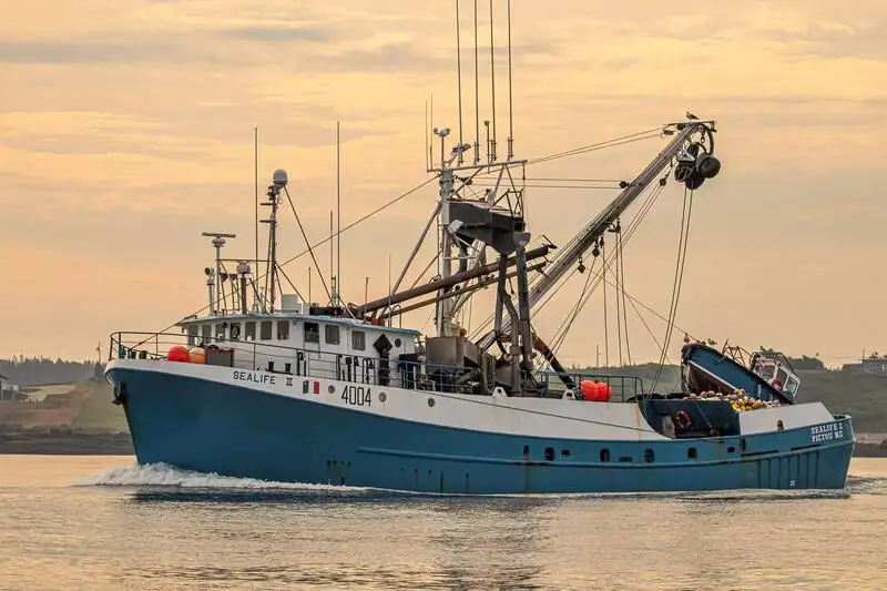 seiner สำหรับขาย