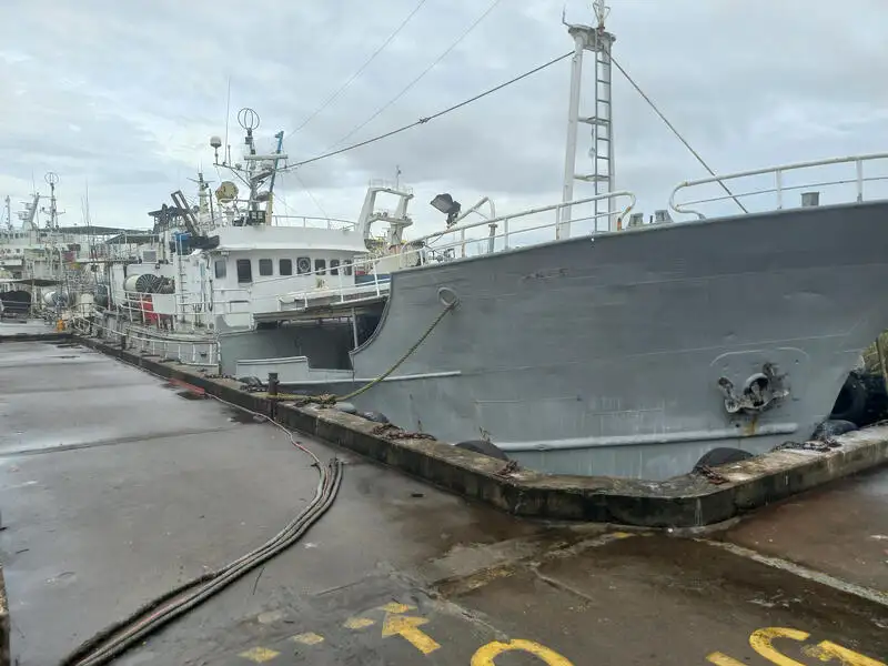 เรือสายยาว สำหรับขาย