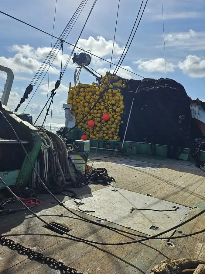 seiner สำหรับขาย