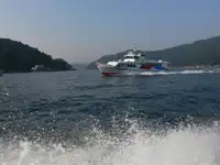 เรือเฟอร์รี่ สำหรับขาย