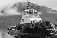 เรือโยง สำหรับขาย