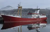 ผู้ให้บริการจำนวนมาก สำหรับขาย