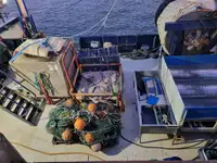 เศษโลหะ สำหรับขาย