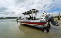 สะเทินน้ำสะเทินบก สำหรับขาย