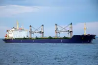 ผู้ให้บริการจำนวนมาก สำหรับขาย