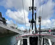 เรือนำร่อง สำหรับขาย