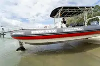สะเทินน้ำสะเทินบก สำหรับขาย