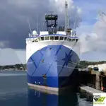 เรือสำรวจ สำหรับขาย
