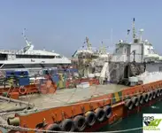 เรือฟาร์มกังหันลม สำหรับขาย