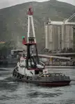 เรือโยง สำหรับขาย