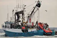 seiner สำหรับขาย