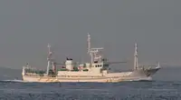 เรือวิจัย สำหรับขาย
