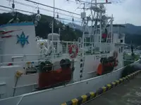 ลากอวนประมง สำหรับขาย