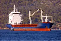 ผู้ให้บริการจำนวนมาก สำหรับขาย