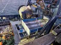 เศษโลหะ สำหรับขาย