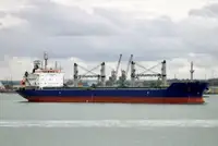 ผู้ให้บริการจำนวนมาก สำหรับขาย