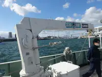 เรือวิจัย สำหรับขาย