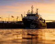 เรือสำรวจ สำหรับขาย