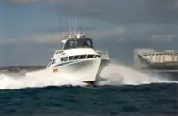 เรือทำงาน สำหรับขาย